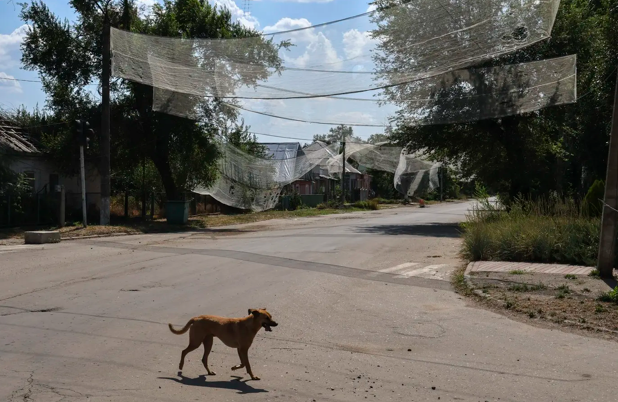 Мініатюра 3